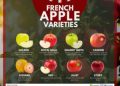 Bonjour French Food: An introduction of French apples and celebration of culinary innovation