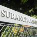 IC says only agents with regular license can sell insurance cover