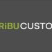 Paribu Launches Global Digital Asset Custody Service for Institutions