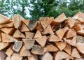 The Benefits of Bulk Firewood Deliveries for Homes and Businesses