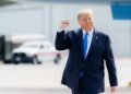 Trumping Trump