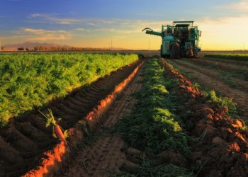 EU Launches ‘More Than Only Food and Drink’ Campaign in UK