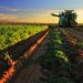 EU Launches ‘More Than Only Food and Drink’ Campaign in UK