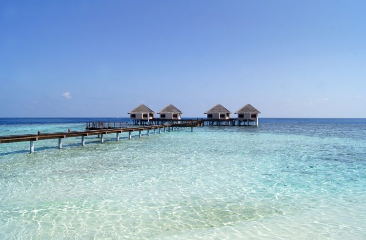 8 Reasons Why you Must Visit the Maldives