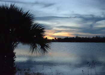 GMF Group (Led by Matthew Forssman and Gabriel Monfried) Acquires Moonrise Resort, Floral City, Florida