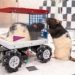Rats learn to drive miniature cars and show enjoyment, study finds