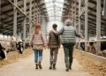 Family businesses face new inheritance tax burden as relief cut to 50%