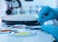 Jim Chao: CEO of Confidence USA, Leading the Way in Nutraceutical Innovation