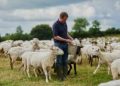Think tank calls for delay in farm inheritance tax to ensure fairness