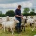 Think tank calls for delay in farm inheritance tax to ensure fairness