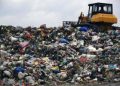 Startups urged to go green to remain competitive