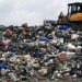 Startups urged to go green to remain competitive