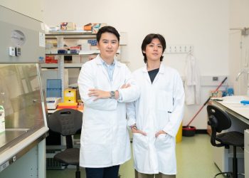 GPDT Photodynamic Therapy: Oxford Researchers Shine Light on New Cancer Treatment
