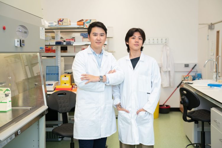 GPDT Photodynamic Therapy: Oxford Researchers Shine Light on New Cancer Treatment