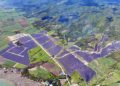 AboitizPower energizes its Negros Occidental solar farm