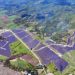 AboitizPower energizes its Negros Occidental solar farm