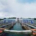 Manila Water, MSpectrum partner for solar power project