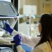 Untapped job-creation potential seen in sciences, biotechnology