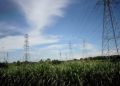 ERC to complete fourth rate reset for grid operator by next month