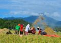 Pasteurizers, rubber sheeters scarcest agricultural equipment at barangay level