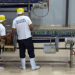 Factory activity expands in Nov.
