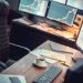Single-Trade Mastery: Avenix Fzco’s ForexRova Seeks to Elevate Traditional Trading