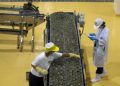 November factory output contracts 4.2%