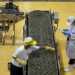 November factory output contracts 4.2%
