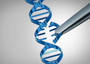 Boston Scientific’s Record Surge: Here’s How I Found It