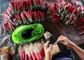 Firework-related injuries reach 843