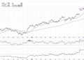 Three Signs of the Bear and What May Come Next!