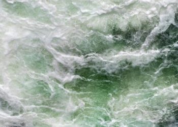 Stay Ahead of Tariffs: Essential Chart Analysis for Investment Security