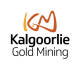 ‘Lighthorse’ Gold Discovery at Pinjin: Thick, High-grade Gold Intercepted at New Greenfields Find