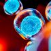 Stem Cell Stocks: 10 Biggest NASDAQ Companies in 2025