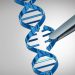 Is a Bold Rotation Brewing in Healthcare and Biotech? Here’s What to Watch Now