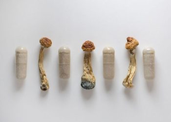 Psychedelics Market Update: H1 2025 in Review
