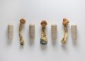 Psychedelics Market Update: H1 2025 in Review