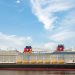 Disney Cruise Line quietly bans a popular practice