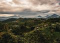 Luxury hotels are increasingly betting big on Rwanda travel