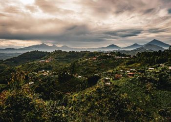 Luxury hotels are increasingly betting big on Rwanda travel