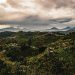 Luxury hotels are increasingly betting big on Rwanda travel