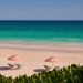Which island in The Bahamas is the best