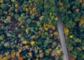 Now is the time to plan a fall leaf-peeping trip from NYC