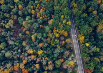 Now is the time to plan a fall leaf-peeping trip from NYC