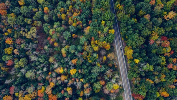 Now is the time to plan a fall leaf-peeping trip from NYC