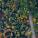 Now is the time to plan a fall leaf-peeping trip from NYC