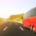 11-year-old travel company files for bankruptcy and cancels trips