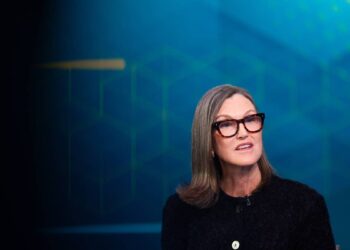 Cathie Wood buys $19.2 million of tumbling AI stock