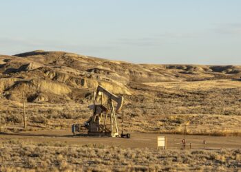 Oil Daily Trading price signals: WTI at $101.91, bull…